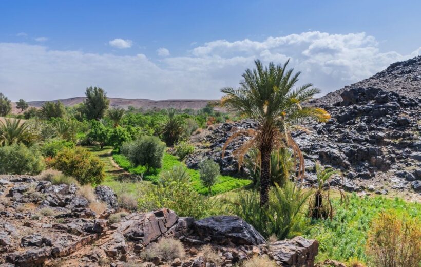 Boutique stays Morocco tours in family-owned guesthouses with authentic local atmosphere