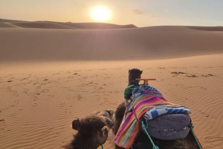 2 DAY MERZOUGA DESERT TOUR FROM OUARZAZATE TO FES