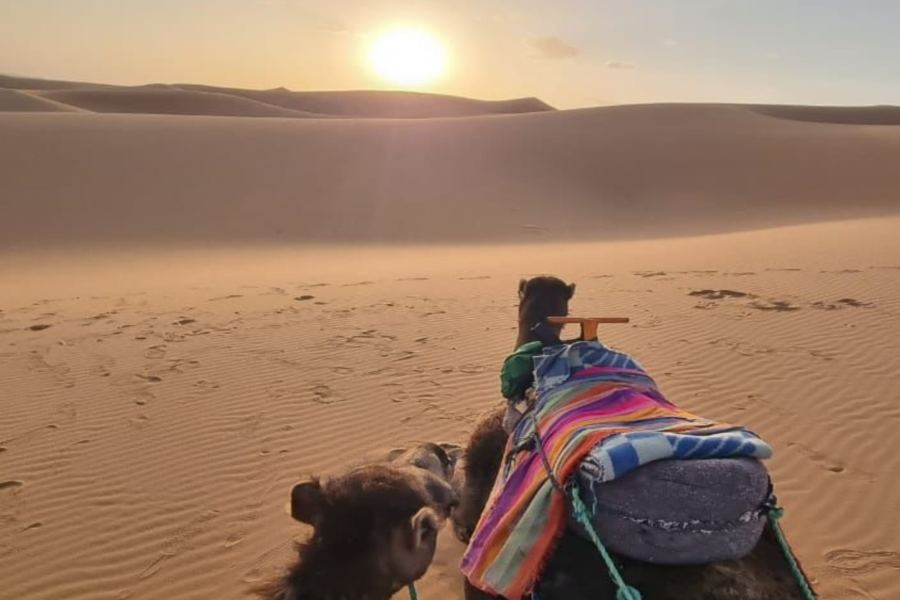 2 DAY MERZOUGA DESERT TOUR FROM OUARZAZATE TO FES
