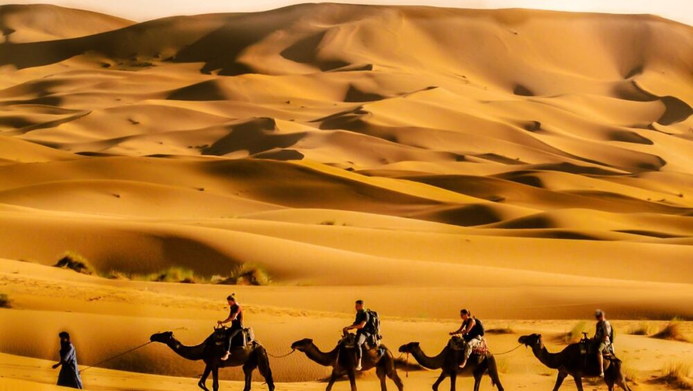 Morocco tribal experiences living among indigenous Berber communities in the Atlas