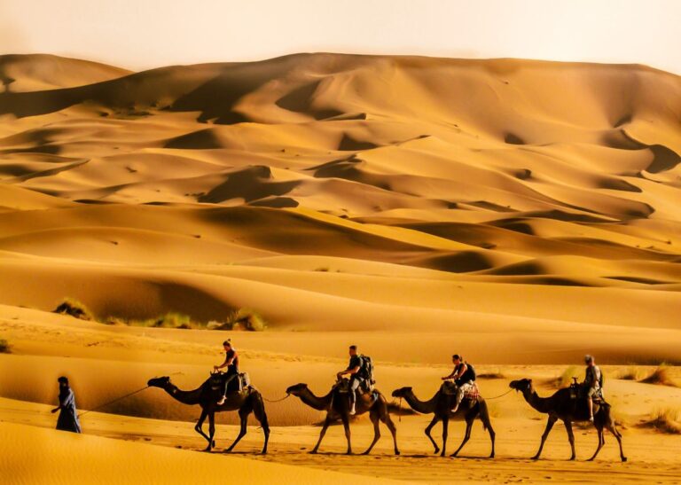 Morocco tribal experiences living among indigenous Berber communities in the Atlas