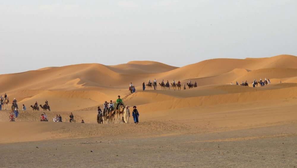 Traveling Sahara