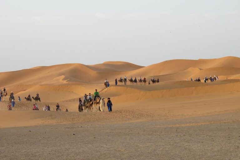 Traveling Sahara